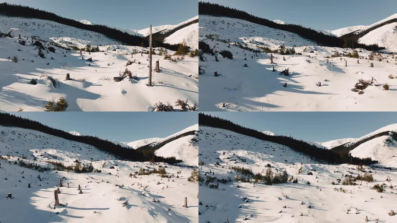 在寒冷的冬天早晨，无人驾驶飞机飞过从树木上清除的白雪皑皑的山丘，白雪覆盖的山峰景观。