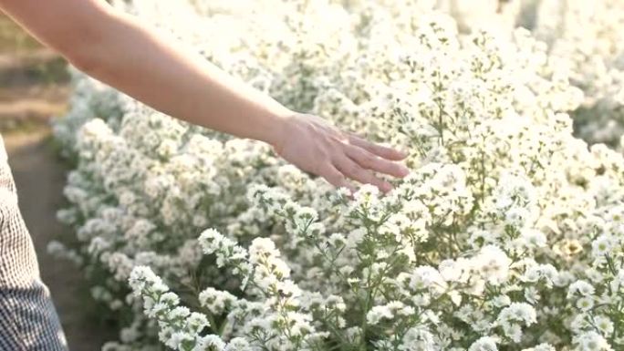 女人在花园里抚摸白花