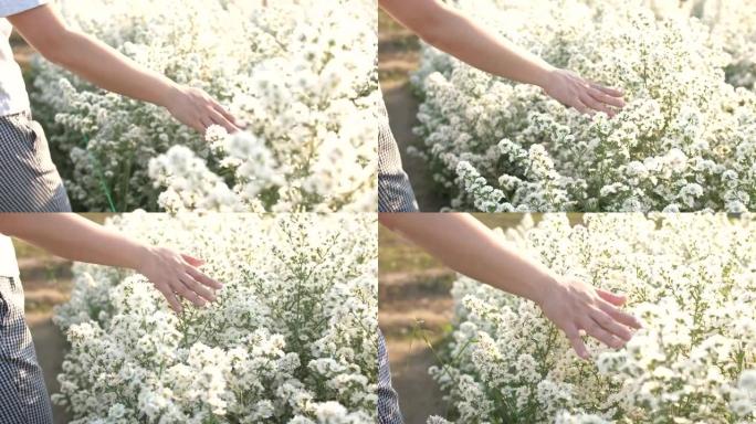女人在花园里抚摸白花