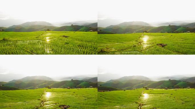 鸟瞰北亚的稻田农田