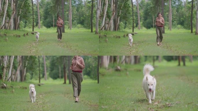 中年白人妇女和她收养的白狗一起在品树花园跑步。