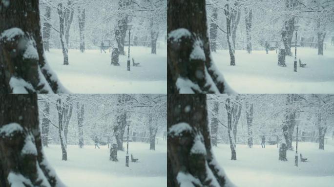 特写: 暴风雪期间，远处模糊的人在安静的公园里散步。