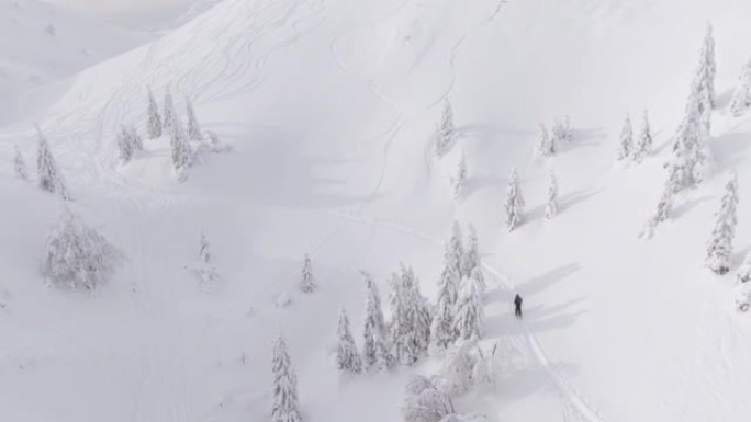 空中: 两个滑雪者周围的寒冷景观的壮观飞行视图。