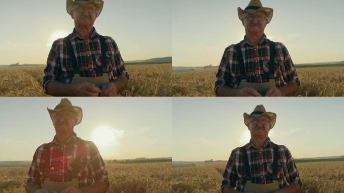 夕阳下，一位老农在麦田里摆姿势