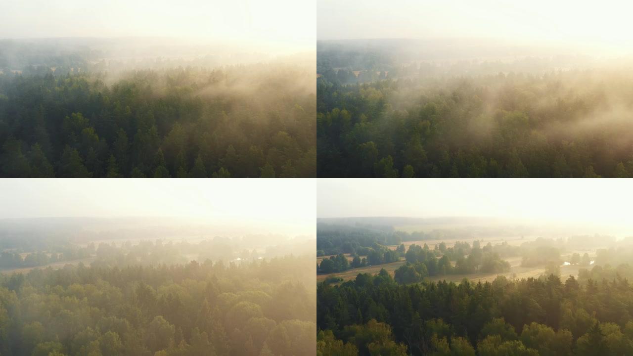 在史诗般的金色朦胧的夏季日出上，无人驾驶飞机穿过浓雾飞向美丽的森林山谷。