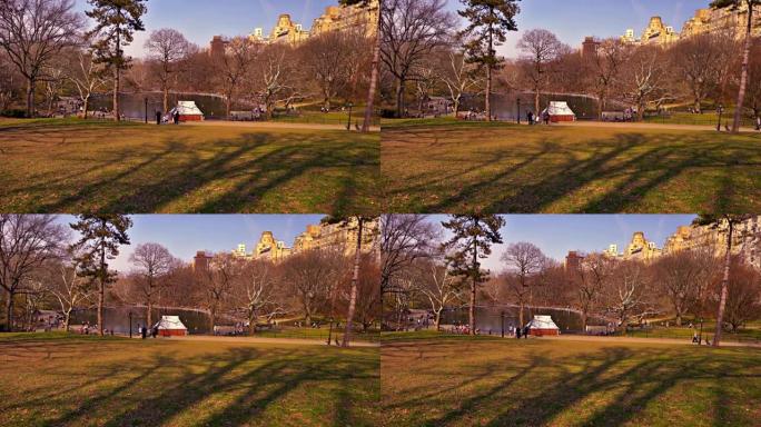 城市中的自然。中央公园。纽约