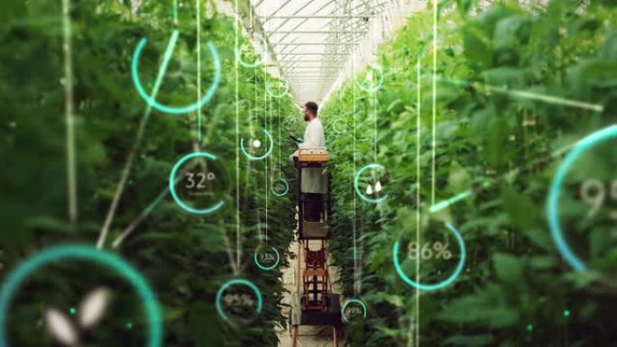 专业的男性生物工程师检查现代垂直农场作物的生长进度。拥有平板电脑的人在高科技温室中种植有机食品或植物