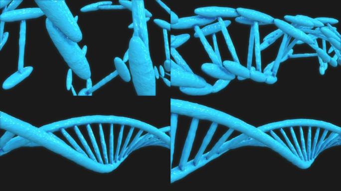 人类DNA链的数字增强视频片段