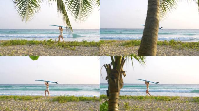 在巴巴多斯进行有趣的冲浪之旅的年轻女子头上背着冲浪板。