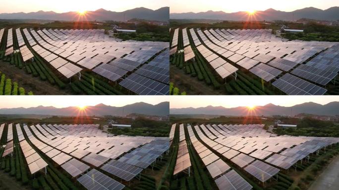 太阳能发电厂太阳能发电光伏电池电站建设