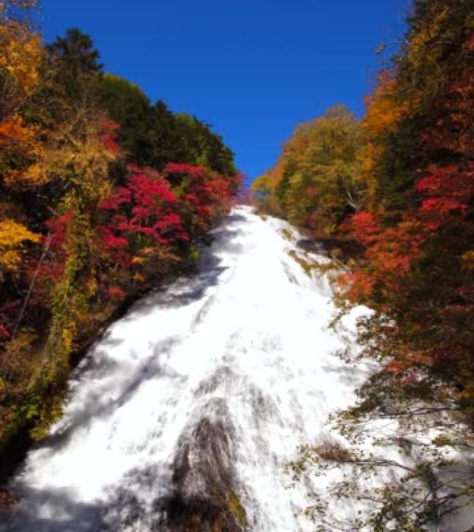 秋季瀑布的垂直视频
