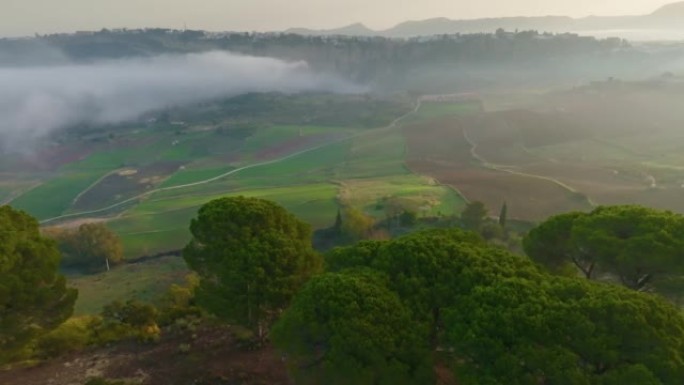 安达卢西亚风景，山上有树木，田野和白色村庄。西班牙安达卢西亚隆达附近有田野的山谷。空中射击，4K