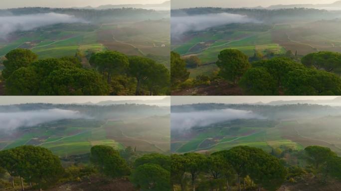 安达卢西亚风景，山上有树木，田野和白色村庄。西班牙安达卢西亚隆达附近有田野的山谷。空中射击，4K