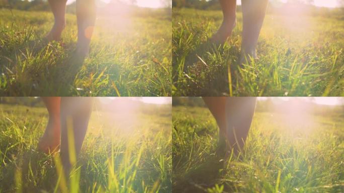 特写，低角度: 年轻的女性赤脚在华丽的光线下在草地上行走