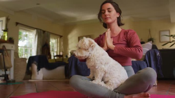 白人妇女在家和宠物狗练习瑜伽