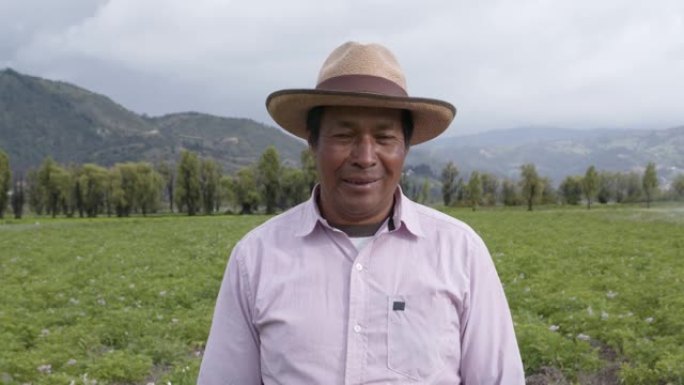 拉丁美洲男性农民在马铃薯田里看着相机微笑
