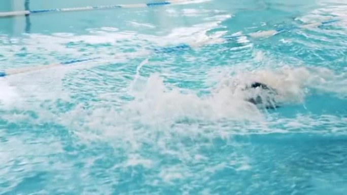 游泳者在游泳池中练习蝴蝶技术