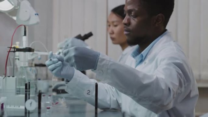 黑人男性科学家在小白鼠身上做实验