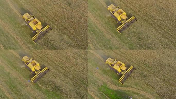空中: 联合收割机切割小麦