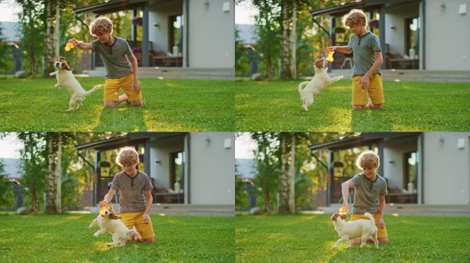可爱的男孩和他最喜欢的狗友一起玩，同时在户外草坪上野餐。他用他最喜欢的玩具抚摸和戏弄他的小杰克罗素梗