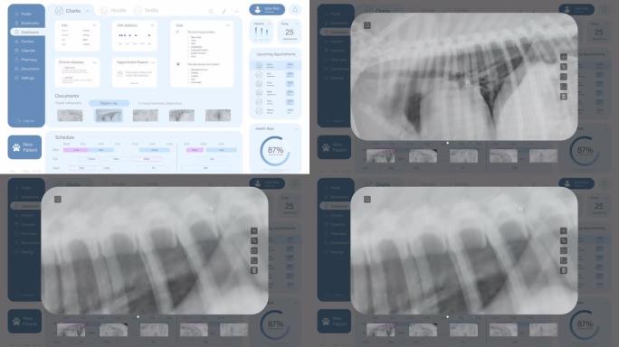 兽医诊所专业医疗软件的光接口模型。专门的计算机程序，为兽医安排预约，检查射线照相图片，进行诊断。