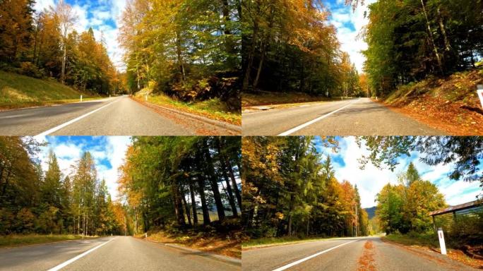 在风景秀丽的道路上行驶，穿过秋天的森林
