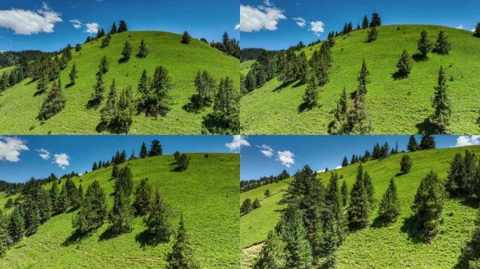 草原和森林深处是女神格尼山，高耸在天空