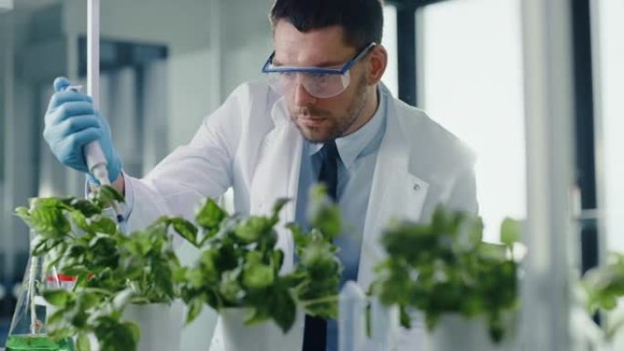 英俊的男性微生物学家添加生物营养补充剂，维生素和矿物质从移液器生长到绿色植物。在现代食品科学实验室工