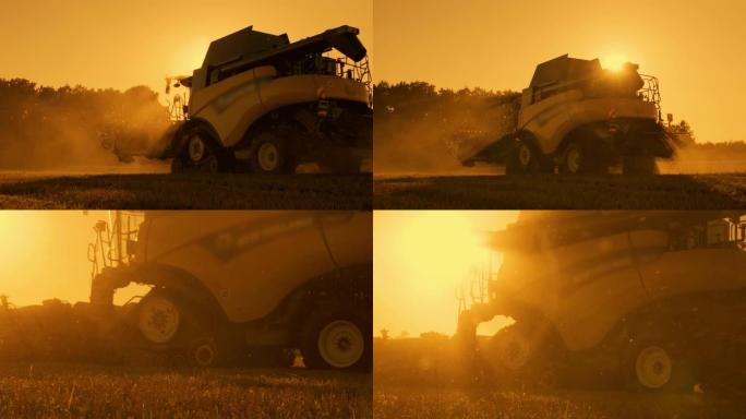 慢动作联合收割机在阳光明媚的夏日在强烈的日落期间脱粒小麦作物