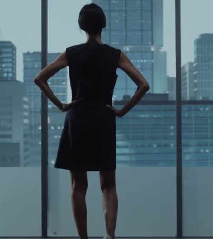 垂直屏幕: 成功的女商人穿着时髦的衣服，看着窗外的大城市。自信的从事金融项目的女首席执行官。工作计划
