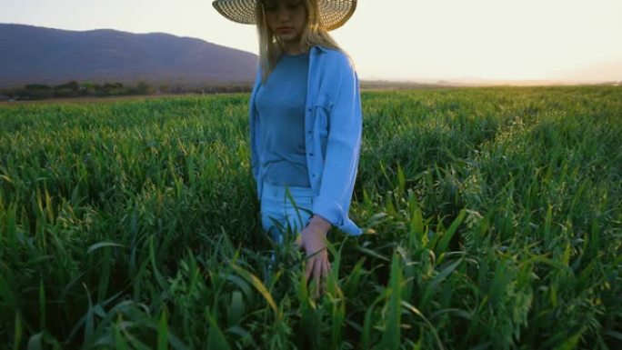 慢动作特写后视图一名戴着草帽的美丽年轻女子在日落时走在麦田里