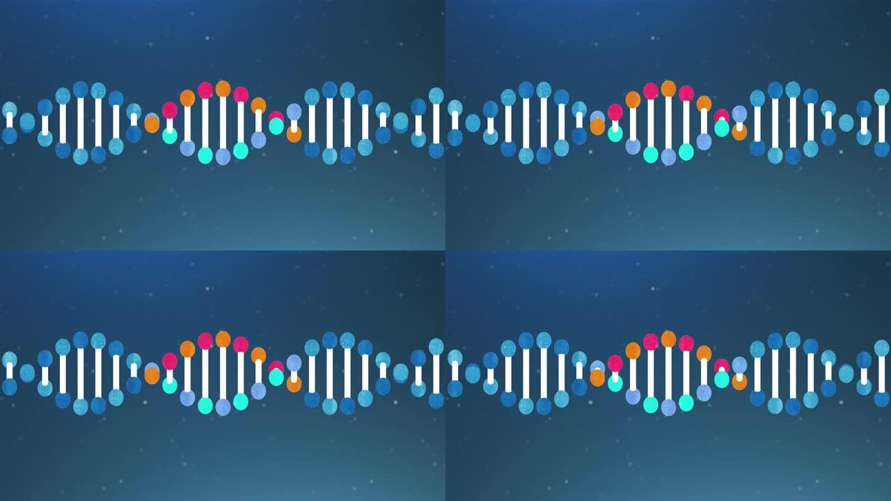 遗传DNA结构可环