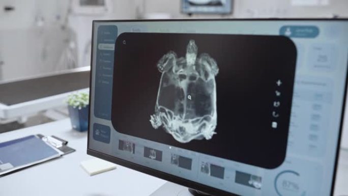 桌面计算机屏幕与兽医诊所在线医疗数据库软件与宠物龟x射线扫描。两名兽医讨论工作，打手势并指着显示器