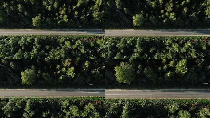 公路槽茂密的森林。空中无人机视图，自上而下