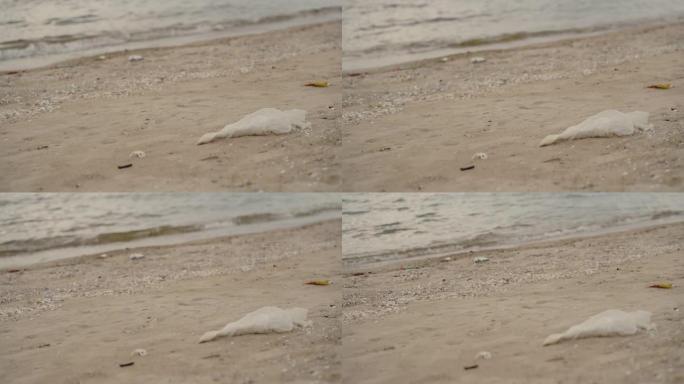 海滩上的环境条件宁静海滩沙滩海浪