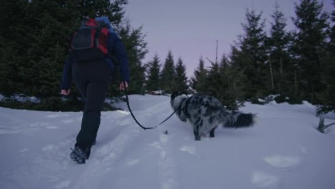 SLO MO女人和一只狗在山上的雪地里涉水