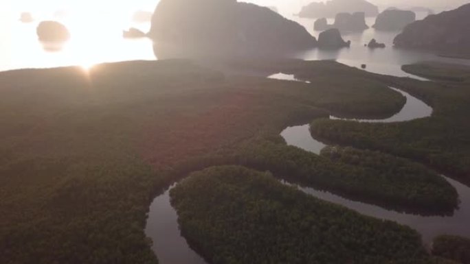 泰国的攀牙湾红树林