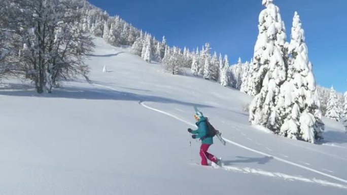 空中: 穿着雪鞋的滑雪者上山切碎新鲜的粉末。