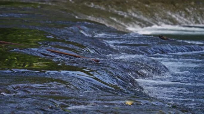 SLO MO水通过石头在河中流动，平移镜头