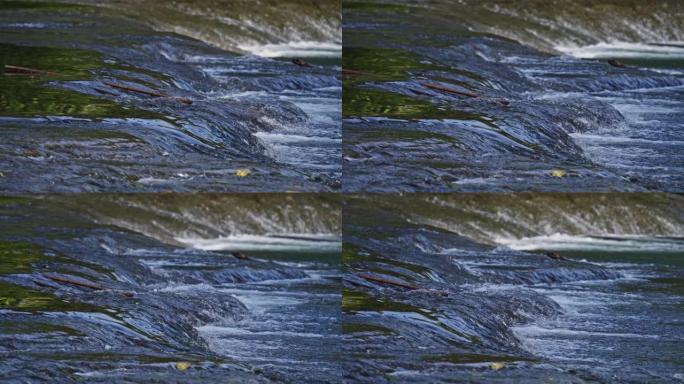 SLO MO水通过石头在河中流动，平移镜头