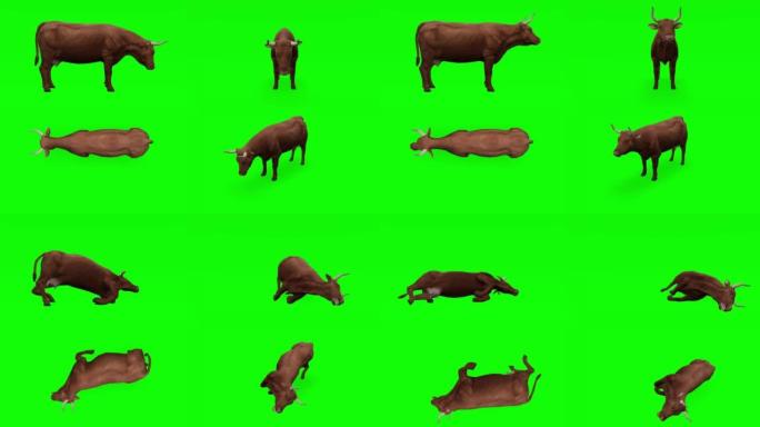 绿屏上垂死的母牛。动物的概念，野生动物，游戏，返校，3d动画，短视频，电影，卡通，有机，色键，人物动