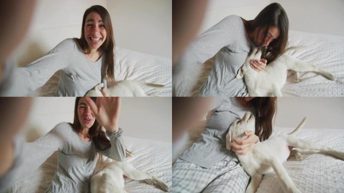 一个年轻幸福的女人的真实照片正在与她的拉布拉多犬小狗躺在床上，向男友进行自拍或视频通话。