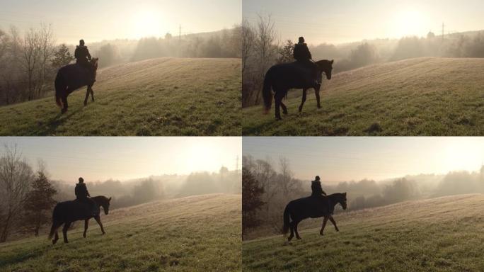 复制空间: 女人在雾蒙蒙的冬天早晨骑着一匹棕色的马穿过牧场。