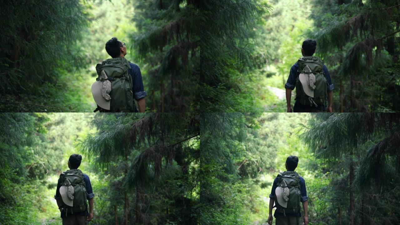 男子在森林徒步旅行