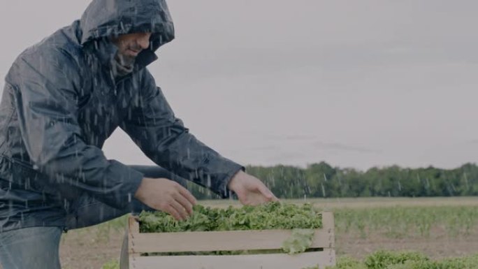 在雨中在田间工作的SLO MO Farmer