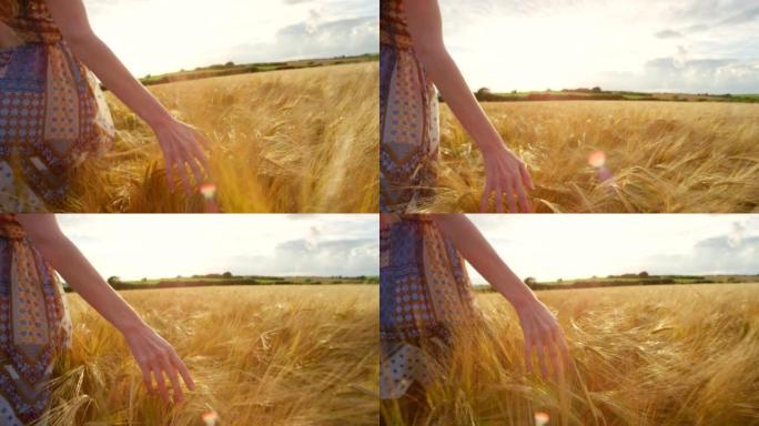 4k视频片段，一名妇女用手指穿过麦田
