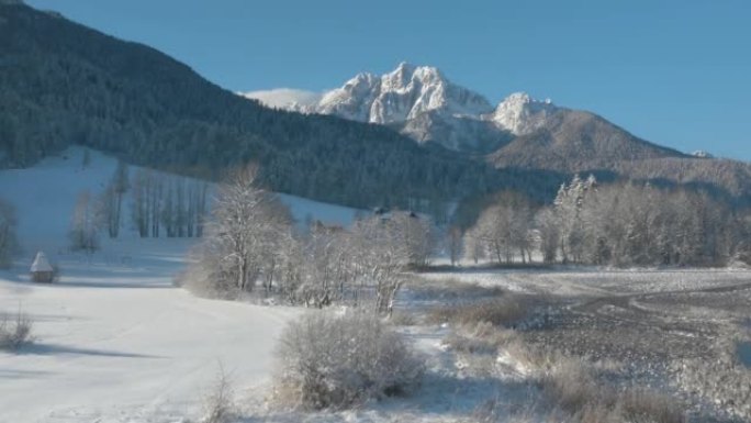 空中: 冬季在Zelenci湿地上空飞往雄伟的庞塞山脉