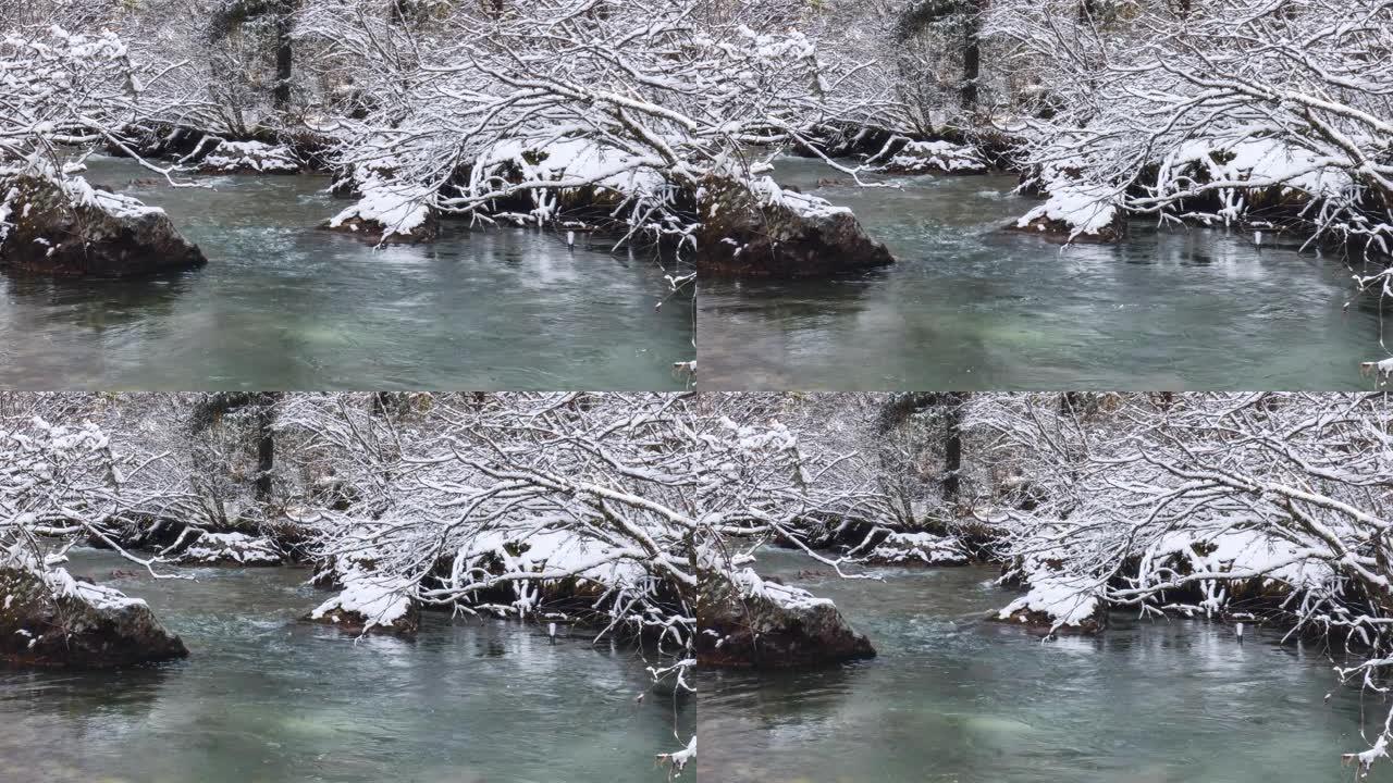 雪中的小溪非常梦幻