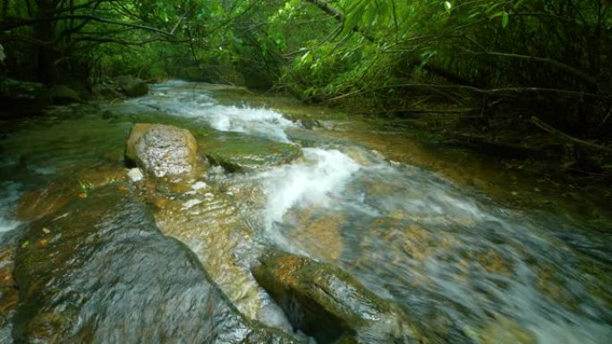 森林中的溪流水山泉河流水流流淌山区山林