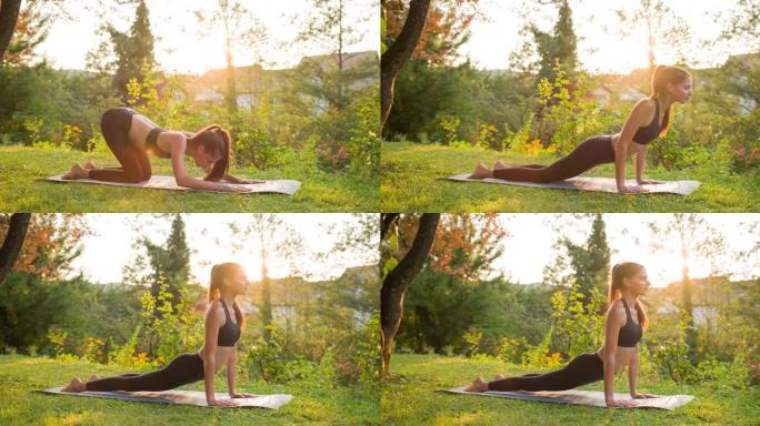 专注的女性保持健康的生活方式，在后院户外做瑜伽